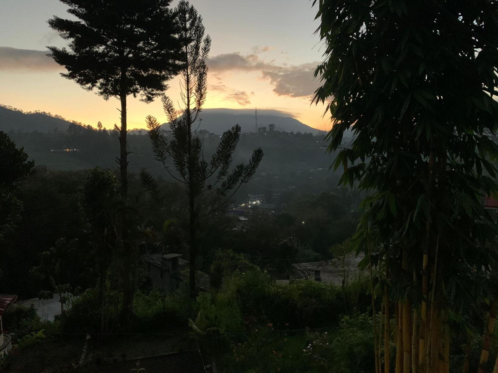 Princess Of Dickoya Homestay Hatton Habitación foto
